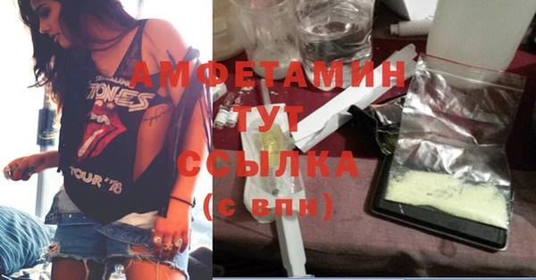 молекула духа Балахна
