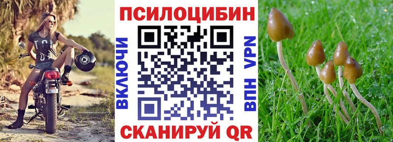 Псилоцибиновые грибы мухоморы  Ершов 