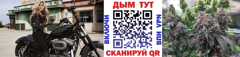 Бошки марихуана план Ершов