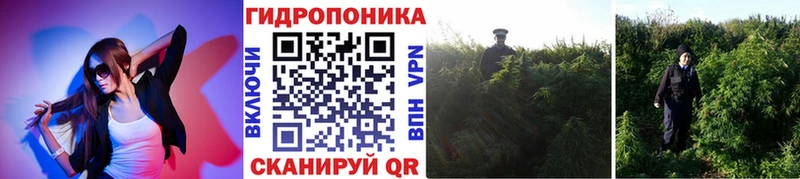 кракен tor  Ершов  МАРИХУАНА тримм  дарнет шоп 